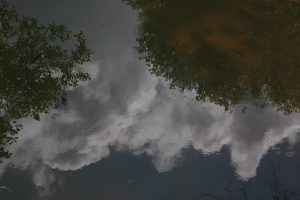 Fotografía de reflejos en el agua